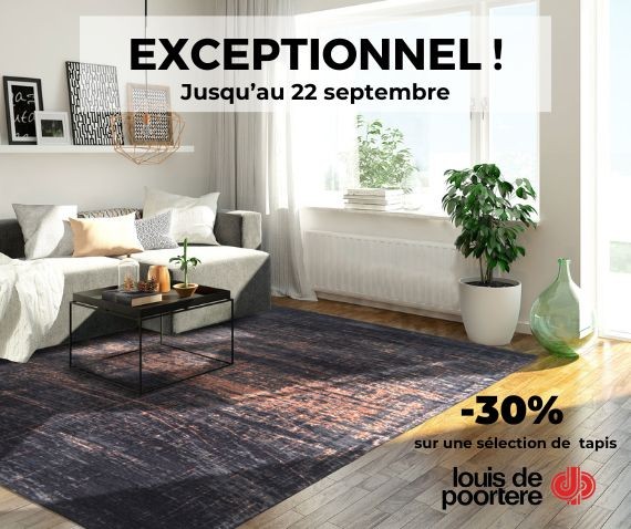PROMO LDP -30% jusqu'au 22 sept
